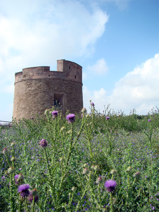 Tor Caldara - Riserva  Naturale Regionale